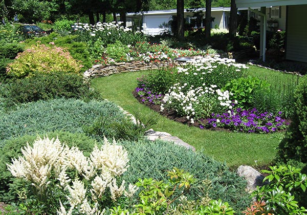 Flower garden