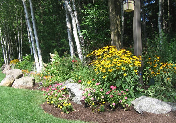 Flower bed with trees, rocks and bright flowers