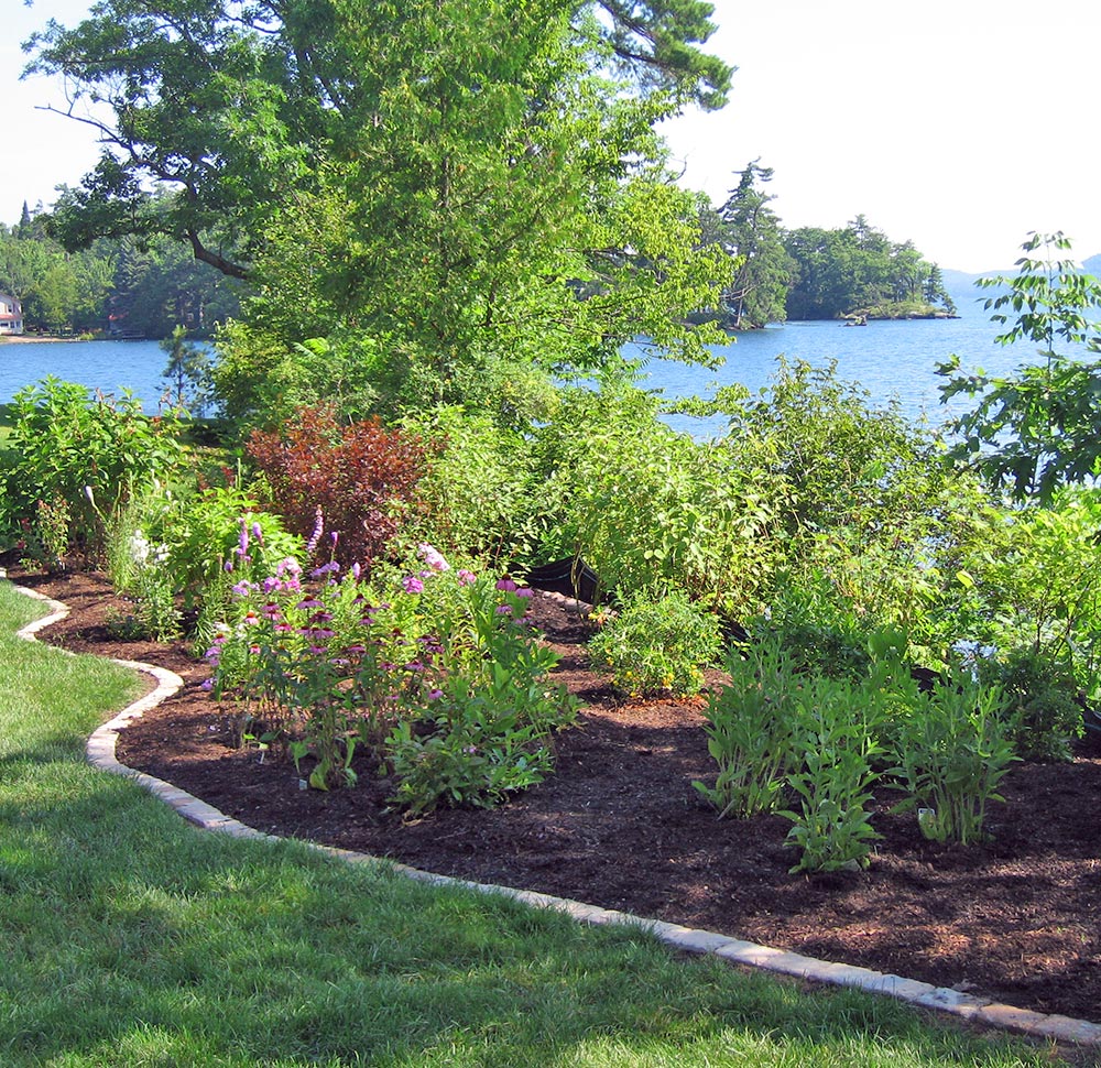 Flower beds on edge of lake