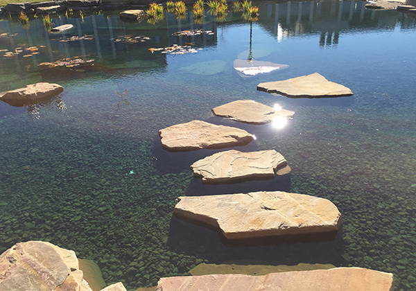 Stepping stones in a pond with shimmering sunlight